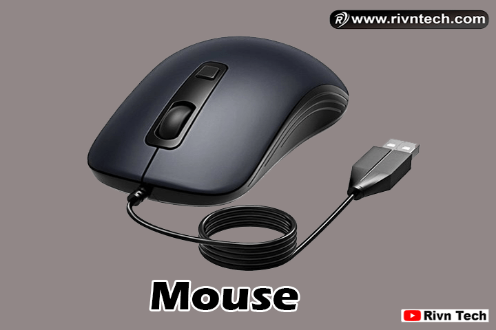 Mouse
