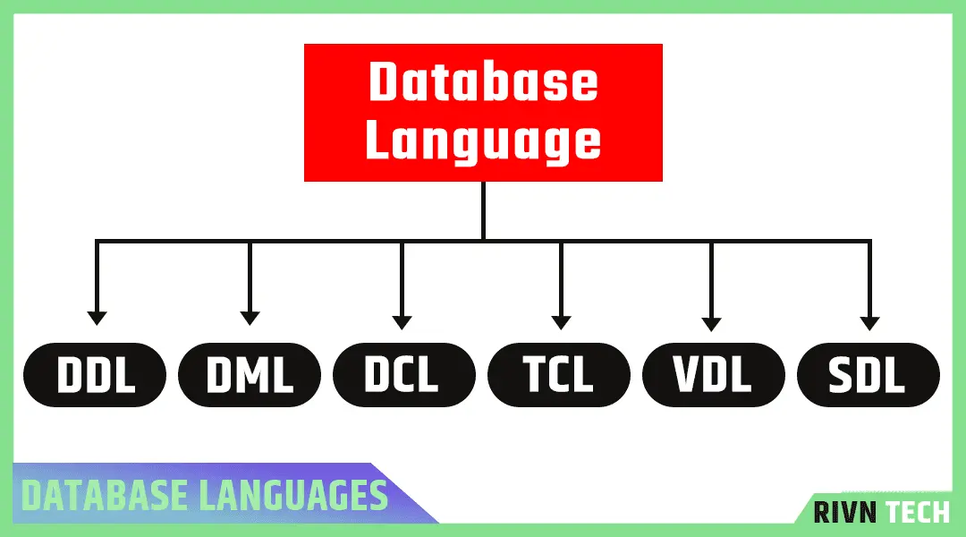 डेटाबेस लैंग्वेज के प्रकार - Types of Database Languages in Hindi