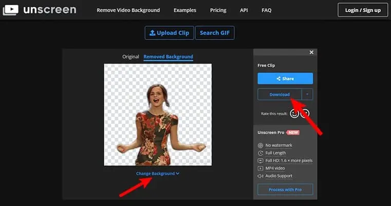 Video Background Remover